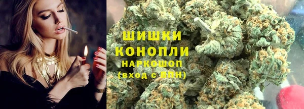 гидра Бородино