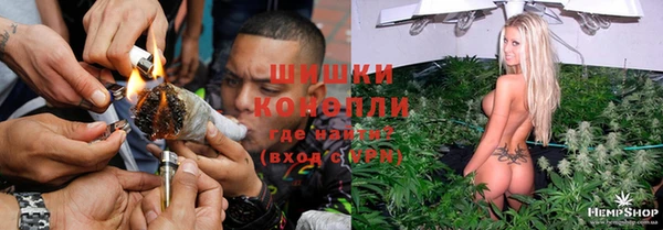 гидра Бородино