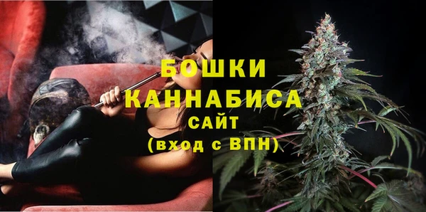 гидра Бородино
