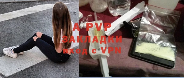 гидра Бородино