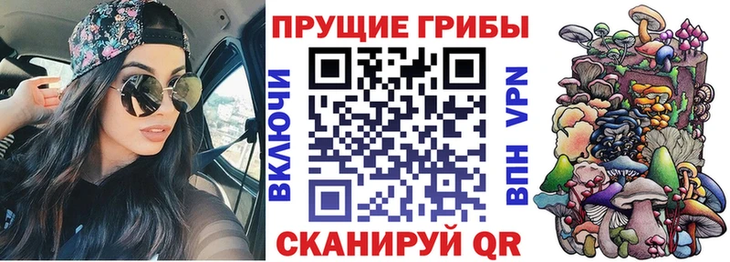 Галлюциногенные грибы ЛСД  Купить где  Новокубанск 